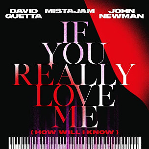 David Guetta & Mistajam & John Newman If You Really Love Me (How Will I Know)